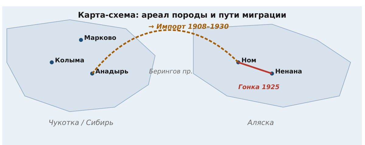 Схема с двумя массивами суши: Чукотка с Марково, Колымой и Анадырем и Аляска с Номом и Ненаной, пунктир импорта и линия гонки 1925 года