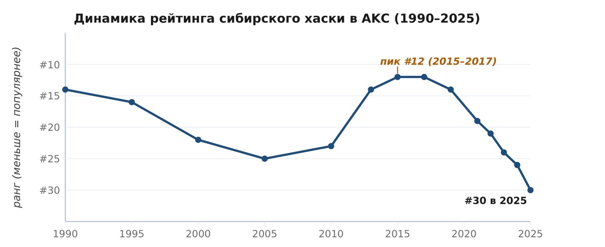 График рейтинга породы в AKC с 1990 по 2025 год: спад к 25-му месту в 2005-м, пик 12-го места в 2015–2017 годах и снижение до 30-го к 2025 году